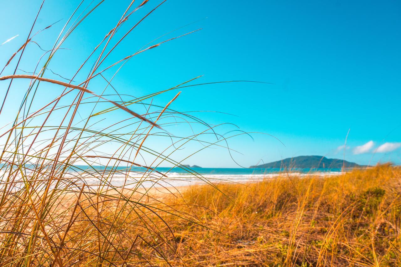 Apto Na Praia Do Ingleses Florianópolis Exteriör bild